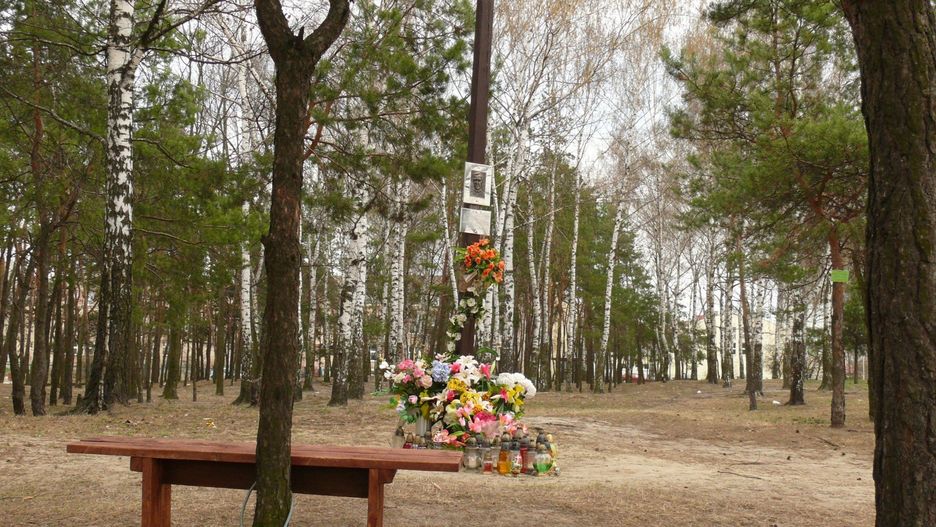 Kokosza Górka w roku 2012, kiedy stał tam budzący emocje krzyż. Teraz na drzewie przybita jest kapliczka