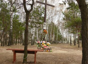 Stalowa Wola: Chcą modernizacji Kokoszej Górki i teren rekreacyjny