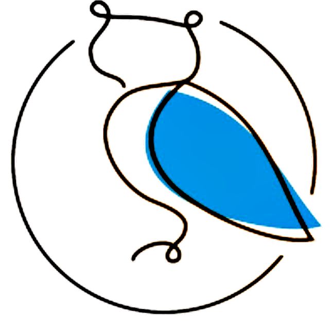 Logo "Niebieska Sowa" coś nam przypomina...