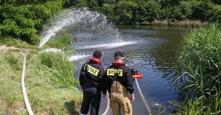 Kilkaset kilogramów śniętych ryb w Kanale Gliwickim. Złote algi wracają