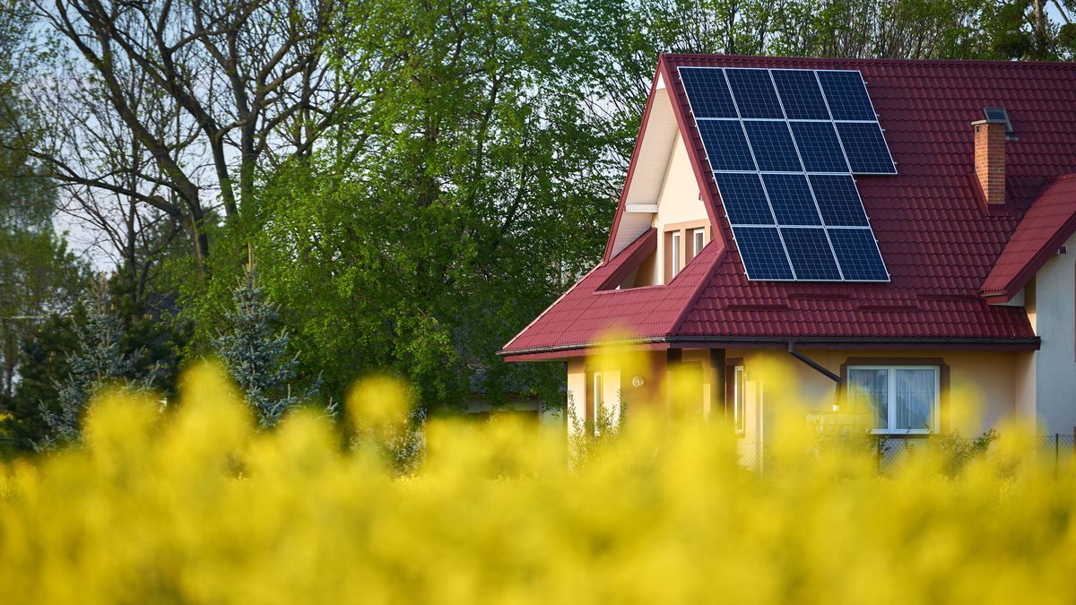 Polacy stawiają na OZE