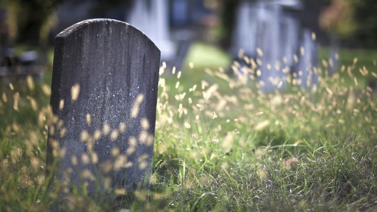 Microsoft uśmierci również serię Asha i featurephone'y 1