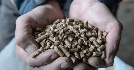 Palisz pelletem? Nie daj się oszukać na te triki sprzedawców