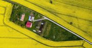 Pola rzepaku w Polsce. Media społecznościowe zalała fala zdjęć