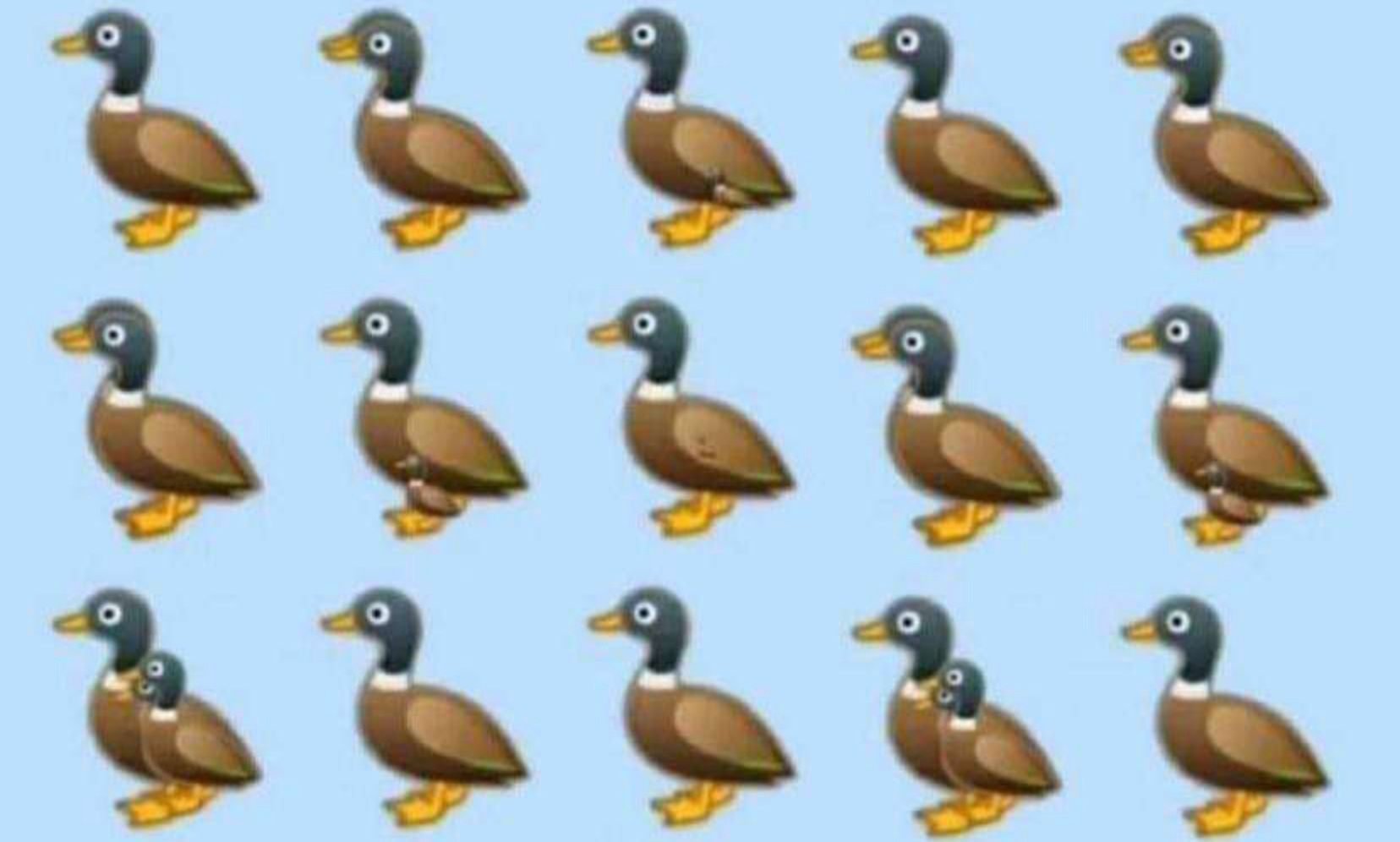 Ile kaczek widzisz na obrazku? Prosta zagadka? Można się zdziwić