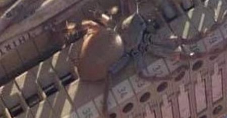 To nie scena z filmu. Gigantyczny potwór na ulicy