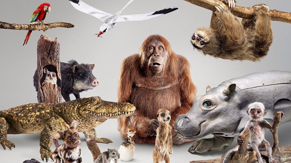 BBC stworzyło robozwierzaki z kamerami, by podglądać życie dzikich stworzeń 1