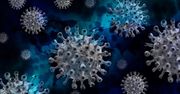 Koronawirus u 25 tysięcy Polaków dziennie? Prognoza ekspertów UW