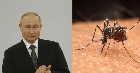 To wymyślili Rosjanie. Piszą o "śmiercionośnych komarach"