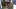 grand-wagoneer-limo-large-4wwww
