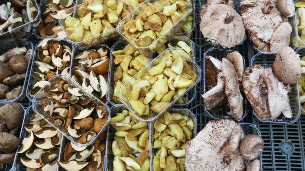 Pomylić się może nawet doświadczony grzybiarz. Może się skończyć w szpitalu