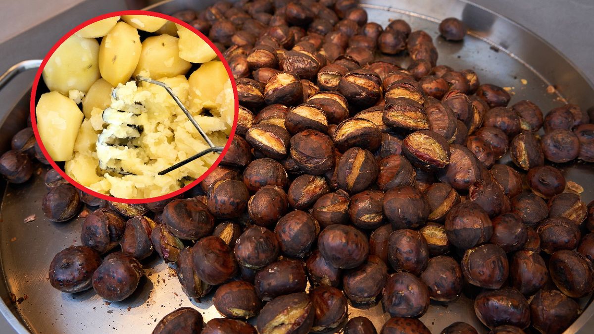 Kasztany – coraz częściej spotykany uliczny przysmak z niespodziewanymi korzyściami zdrowotnymi