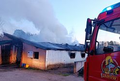 Tragiczny pożar na Podlasiu. Zginęło 100 krów