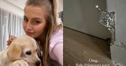 Karolina Pisarek pokazuje ZDEMOLOWANY dom przez czworonożnych przyjaciół i ubolewa: "Nie mam słów" (ZDJĘCIA)