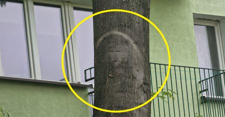 Mija rok od "cudu" w Parczewie. "Jezus trochę wyblakł"