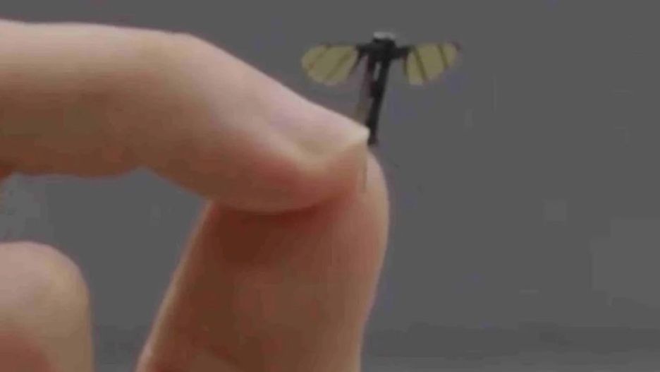mikrodron jak komar
