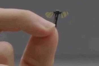 To nie science fiction. Chińska armia ma drona wielkości komara