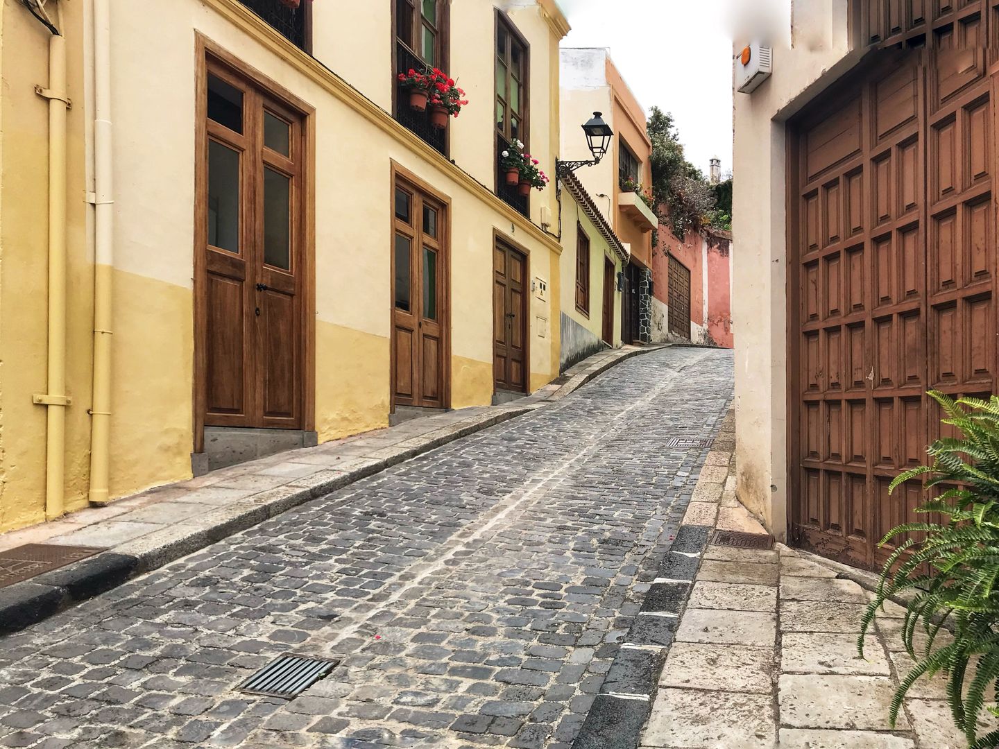 La Orotava 