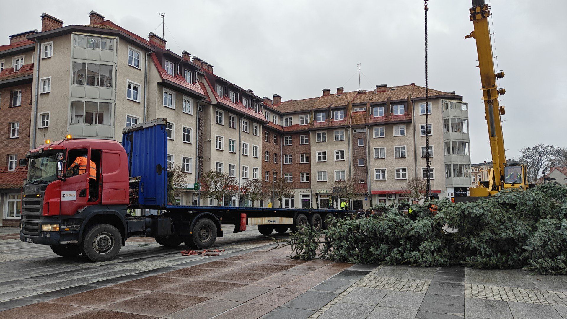 Montaż choinki na Placu Wolności w Szczecinku