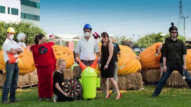 Gigantyczne dynie w siedzibie największej wyszukiwarki internetowej świata 1