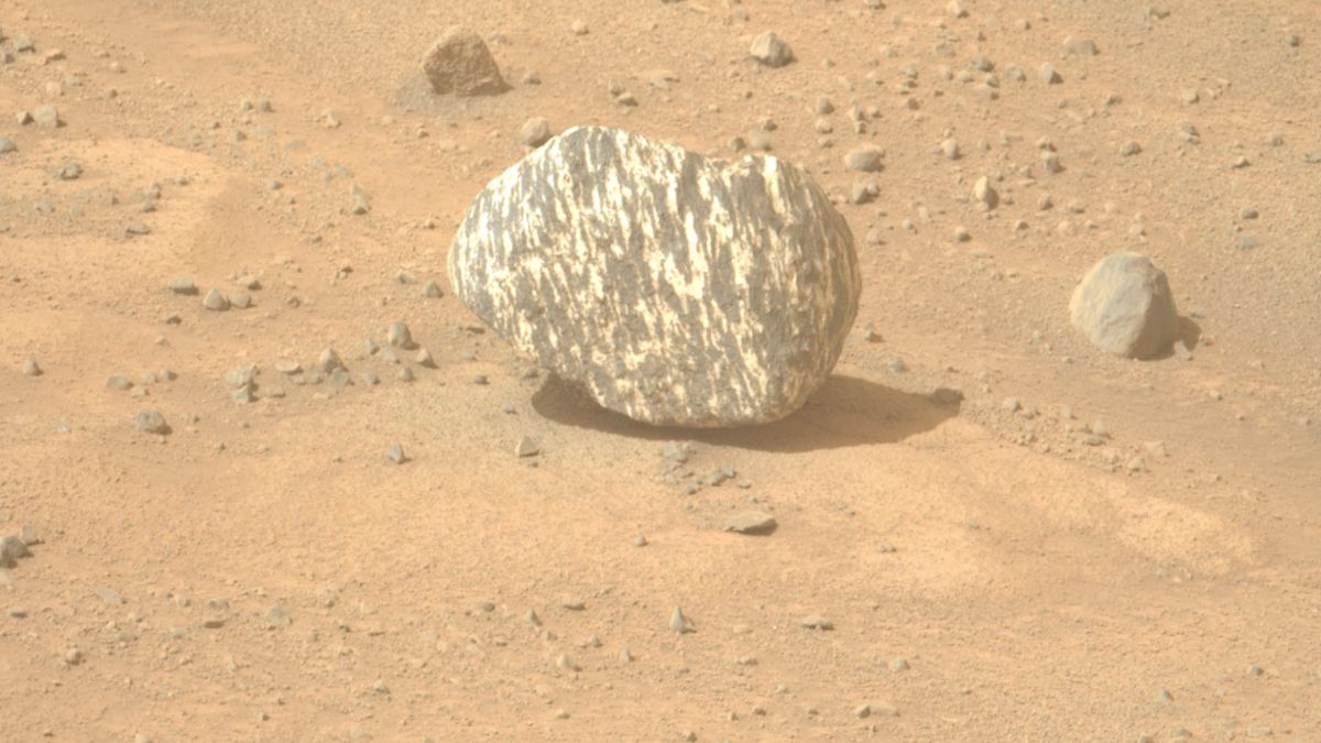 Łazik  Perseverance natknął się na niecodzienną skałę na Marsie.
