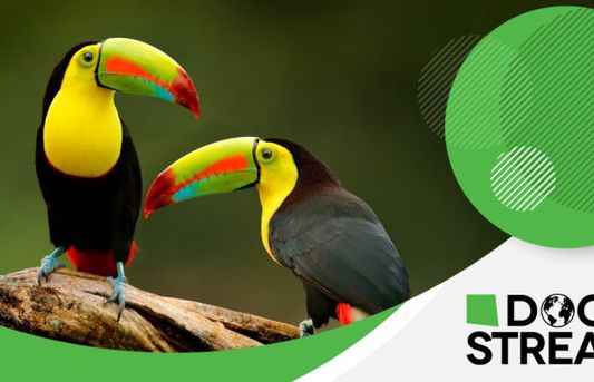 Kanały tematyczne SPI w ofercie darmowej platformy streamingowej Samsunga