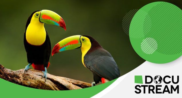 Kanały tematyczne SPI w ofercie darmowej platformy streamingowej Samsunga