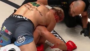 Krwawa lekcja. Daniel Skibiński brutalnie zastopował młodego wilka