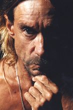 Alice Cooper barmanem, Iggy Pop producentem