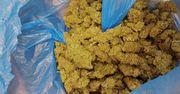 36-latek ukrywał narkotyki w pracy. W szafce miał tabletki ecstasy, w suficie chował marihuanę