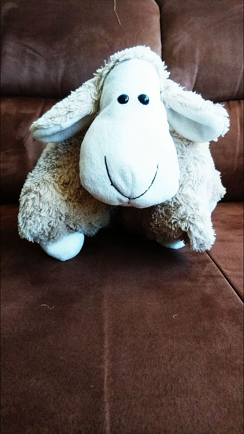 Test Sony Xperia Z5 - sprawdzamy możliwości fotograficzne flagowca 55