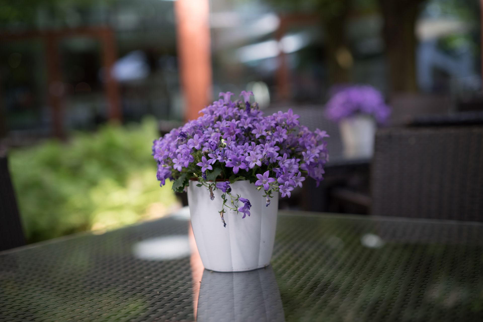 Sony A7S - zdjęcia testowe do ISO 409 600 2