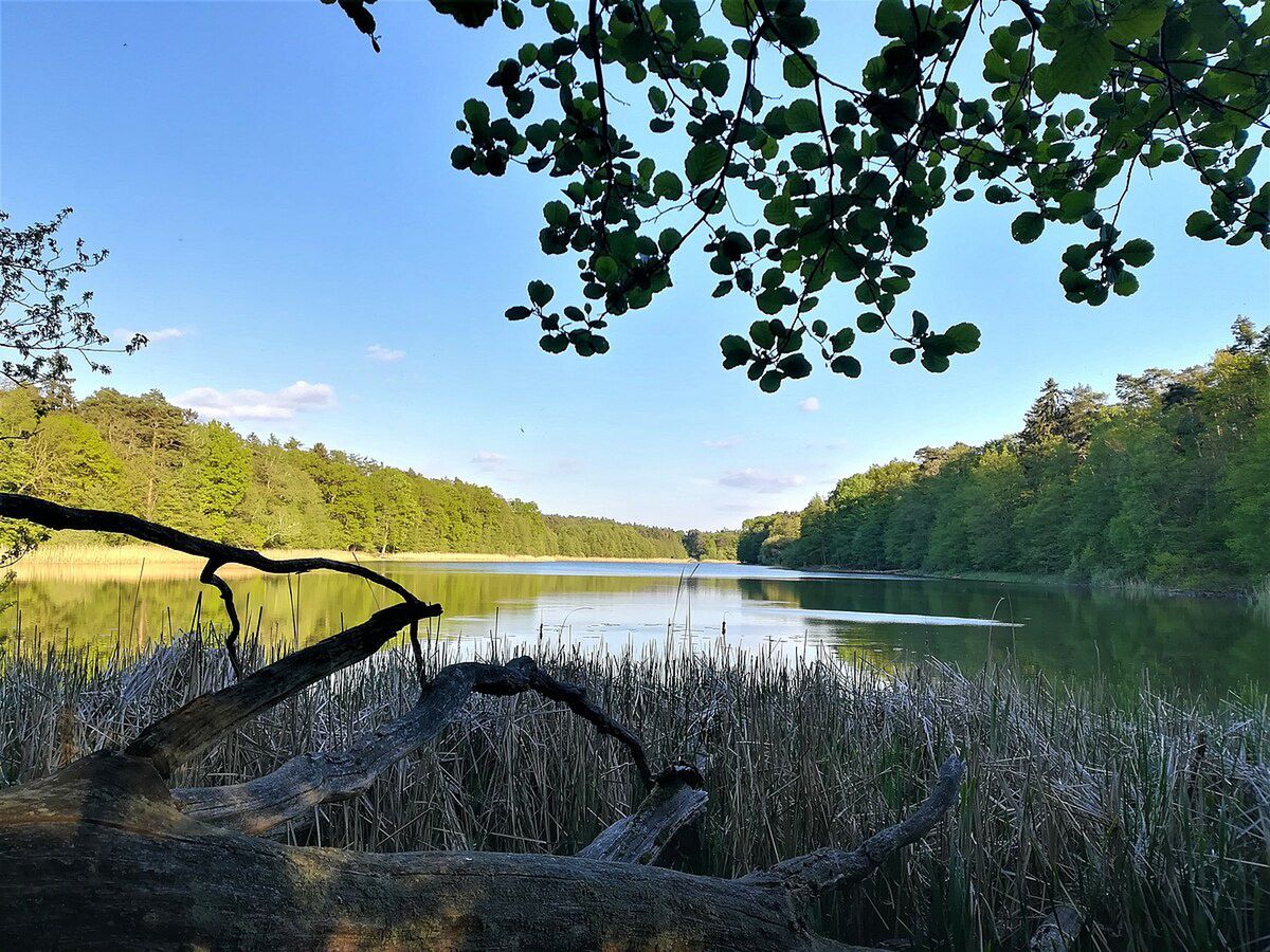 Zakochaj się w jednym z najpiękniejszych jezior Wielkopolski. Ta trasa zachwyca nawet zimą