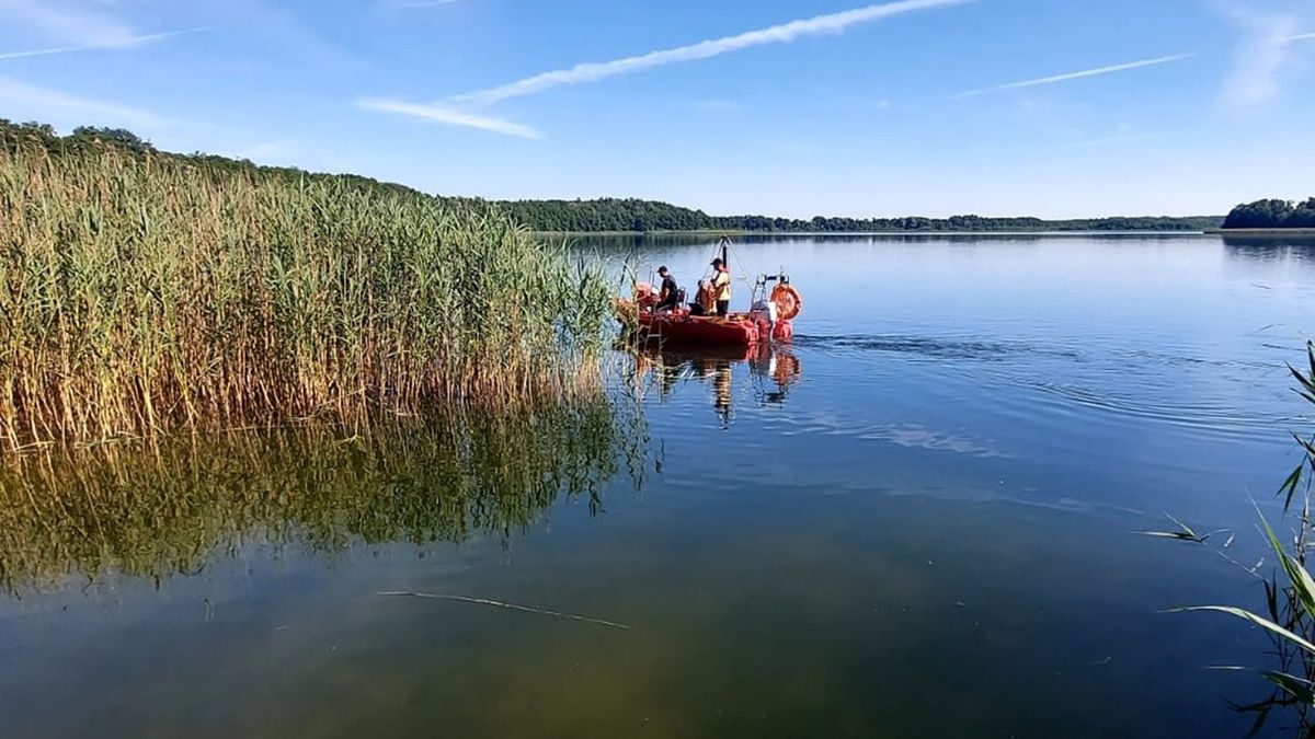 Do ataku doszło nad jeziorem Stelchno w gminie Jeżewo 