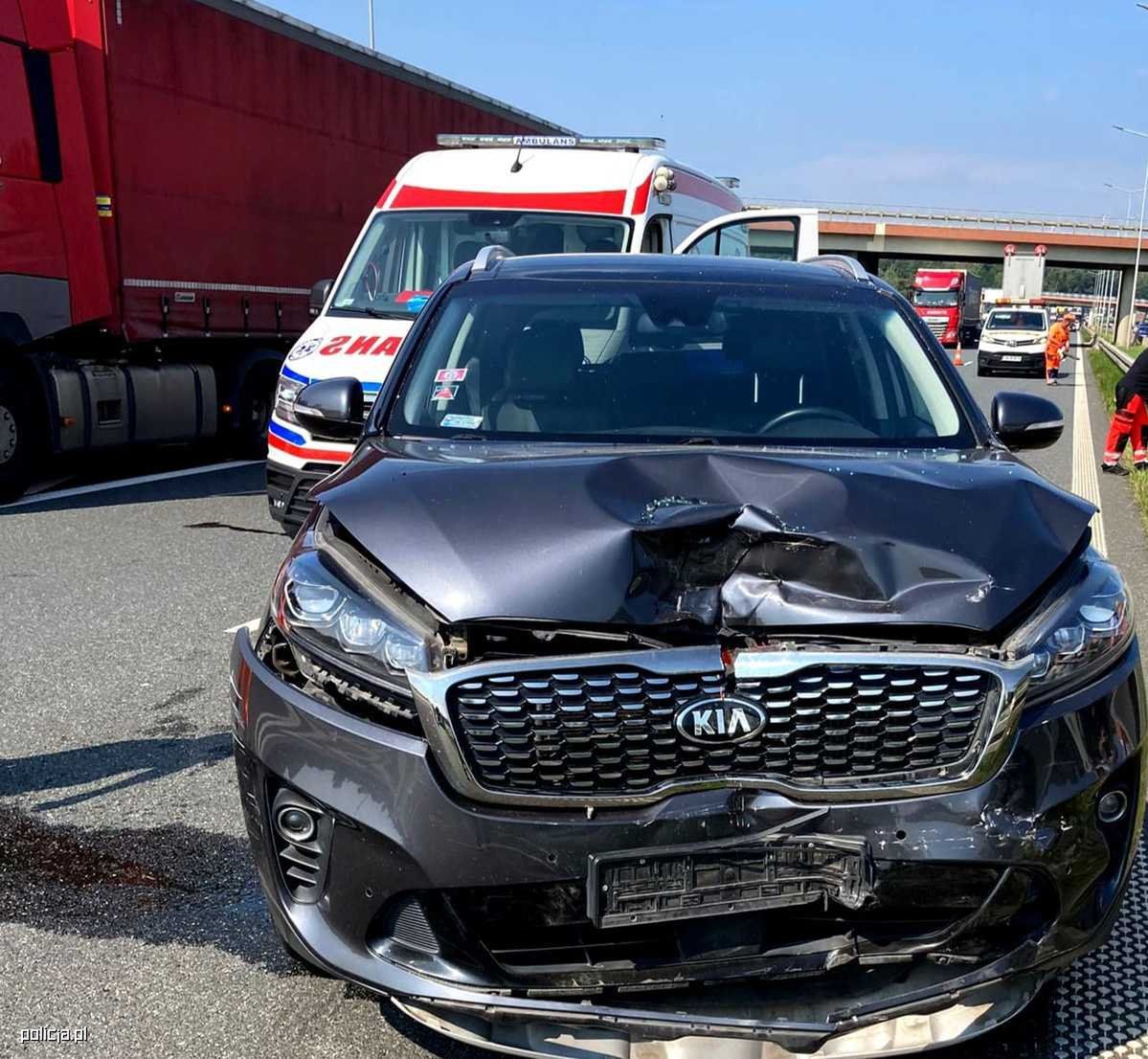 Cofał na autostradzie, doprowadził do kolizji i pogryzł poszkodowanego.