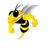 Coventry Bees