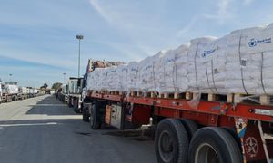 "Straszna perspektywa". Nawet 45 mln ludzi. Wskazują Bliski Wschód