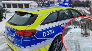 Bielsko-Biała: 17-latka pobita na przystanku