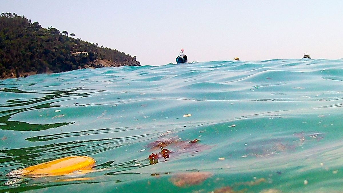 Ilość odpadów w Oceanie Atlantyckim przekracza 200 mln ton.