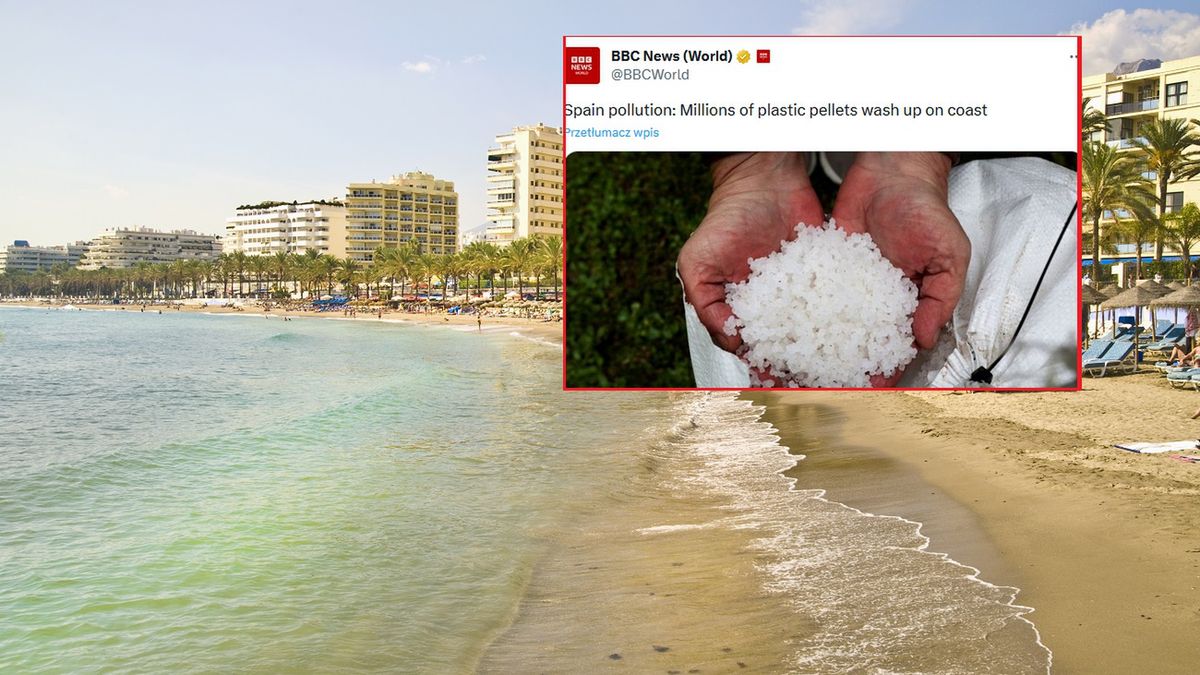 Marbella, Costa del Sol, Spain
Marbella and nearby Puerto Banús are important tourist resorts on the Costa del Sol.
John Harper