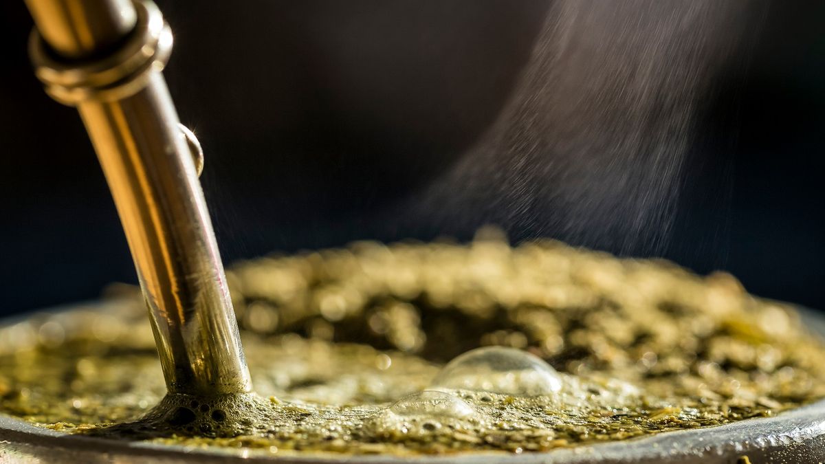 Czy herbata yerba mate może być rakotwórcza? Cześć naukowców ma takie obawy