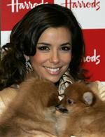 Eva Longoria chce Kenny'ego Chesneya