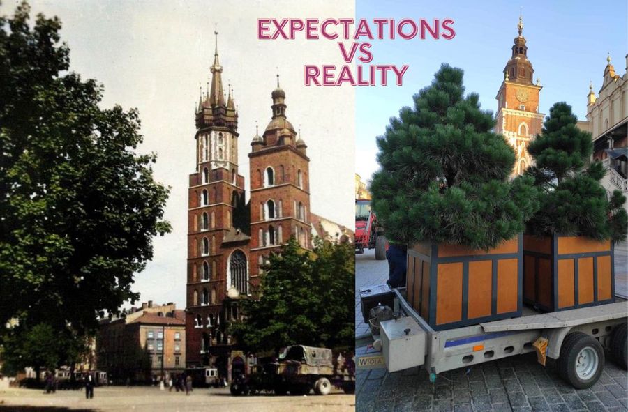 Krakow vs trees. City authorities troll residents?