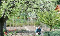 Działkowicze zaskoczeni. Legalizacja studzienek albo kary za pobieranie wody?