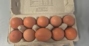 Kupiłeś te jaja? Lepiej ich nie jedz. Wykryto salmonellę