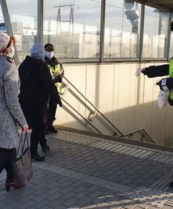 Koronawirus w Polsce. Zakaz wejścia do parków i lasów był bublem. Straż Miejska w Legnicy wlepiła sporo bezprawnych mandatów