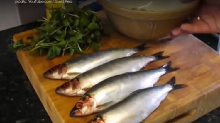 Choć Polacy bardzo lubią śledzia niewiedzą zbyt wiele na jego temat 