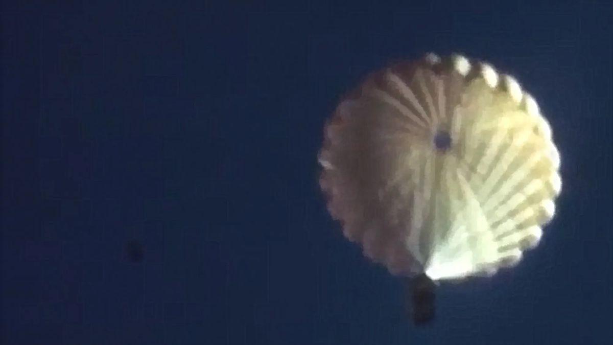 Relokacja bobrów odbyła się za pomocą specjalnego sprzętu