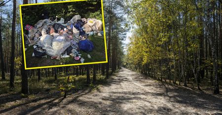 "Mamy dość". Leśnicy pokazali zdjęcia. Bałaganiarz jednego nie przewidział