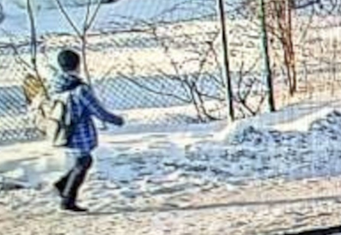 wiadomości,aktualności,WP Wiadomości Policja dziękuje. 12-letni Krzyś odnaleziony cały i zdrowy